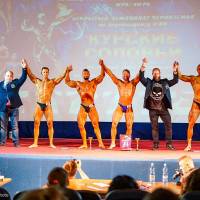 Открытый Чемпионат Черноземья по бодибилдингу IFBB «КУРСКИЕ СОЛОВЬИ-4» (Фото №0044)