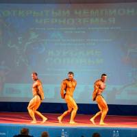 Открытый Чемпионат Черноземья по бодибилдингу IFBB «КУРСКИЕ СОЛОВЬИ-4» (Фото №0203)