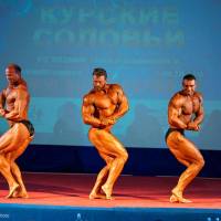 Открытый Чемпионат Черноземья по бодибилдингу IFBB «КУРСКИЕ СОЛОВЬИ-4» (Фото №0206)