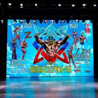 Xll КУБОК СВАРОГА IPC / WAA / IFBB - 2025 (часть 2) (Фото №0219)
