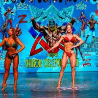 Xll КУБОК СВАРОГА IPC / WAA / IFBB - 2025 (часть 2) (Фото №0263)