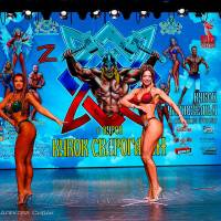 Xll КУБОК СВАРОГА IPC / WAA / IFBB - 2025 (часть 2) (Фото №0264)