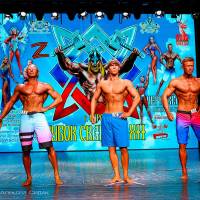 Xll КУБОК СВАРОГА IPC / WAA / IFBB - 2025 (часть 2) (Фото №0277)