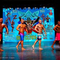 Xll КУБОК СВАРОГА IPC / WAA / IFBB - 2025 (часть 2) (Фото №0515)