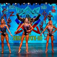 Xll КУБОК СВАРОГА IPC / WAA / IFBB - 2025 (часть 2) (Фото №0528)