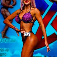 Xll КУБОК СВАРОГА IPC / WAA / IFBB - 2025 (часть 2) (Фото №0968)