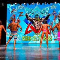 Xll КУБОК СВАРОГА IPC / WAA / IFBB - 2025 (часть 2) (Фото №1095)