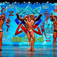 Xll КУБОК СВАРОГА IPC / WAA / IFBB - 2025 (часть 2) (Фото №1135)