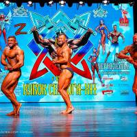 Xll КУБОК СВАРОГА IPC / WAA / IFBB - 2025 (часть 2) (Фото №1320)