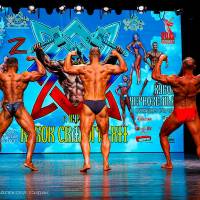 Xll КУБОК СВАРОГА IPC / WAA / IFBB - 2025 (часть 2) (Фото №1321)