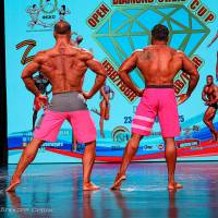 OPEN DIAMOND STARS CUP IPC/IFBB  (Фото №0589)