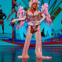 OPEN DIAMOND STARS CUP IPC/IFBB  (Фото №0604)