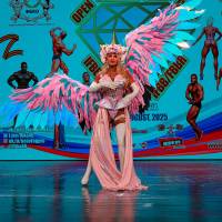 OPEN DIAMOND STARS CUP IPC/IFBB  (Фото №0614)