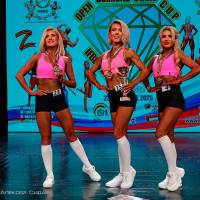 OPEN DIAMOND STARS CUP IPC/IFBB  (Фото №0718)