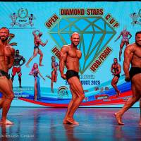 OPEN DIAMOND STARS CUP IPC/IFBB  (Фото №0800)