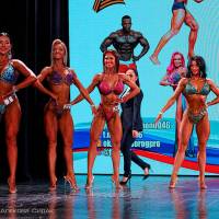 OPEN DIAMOND STARS CUP IPC/IFBB  (Фото №0980)