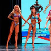 OPEN DIAMOND STARS CUP IPC/IFBB  (Фото №1287)