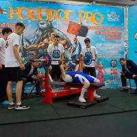 НОСОРОГ ПРО - 17 (Фото №0118)