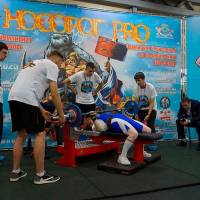 НОСОРОГ ПРО - 17 (Фото №0133)