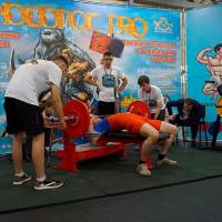 НОСОРОГ ПРО - 17 (Фото №0149)