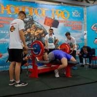 НОСОРОГ ПРО - 17 (Фото №0153)