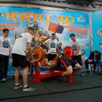 НОСОРОГ ПРО - 17 (Фото №0158)