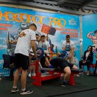 НОСОРОГ ПРО - 17 (Фото №0165)