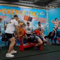 НОСОРОГ ПРО - 17 (Фото №0172)