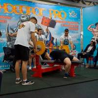 НОСОРОГ ПРО - 17 (Фото №0176)