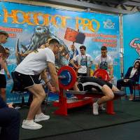 НОСОРОГ ПРО - 17 (Фото №0179)