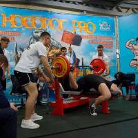 НОСОРОГ ПРО - 17 (Фото №0181)