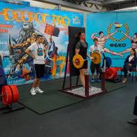 НОСОРОГ ПРО - 17 (Фото №0205)