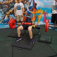 НОСОРОГ ПРО - 17 (Фото №0285)