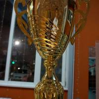 НОСОРОГ ПРО - 17 (Фото №0394)