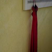 НОСОРОГ ПРО - 17 (Фото №0402)