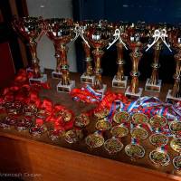 НОСОРОГ ПРО - 17 (Фото №0408)