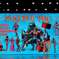 НОСОРОГ ПРО - 17 (Фото №0411)