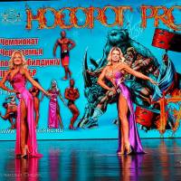 НОСОРОГ ПРО - 17 (Фото №0428)