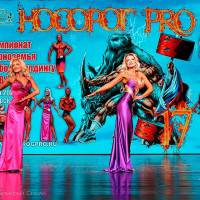 НОСОРОГ ПРО - 17 (Фото №0430)