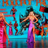 НОСОРОГ ПРО - 17 (Фото №0431)