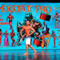 НОСОРОГ ПРО - 17 (Фото №0436)