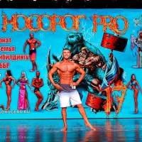 НОСОРОГ ПРО - 17 (Фото №0439)