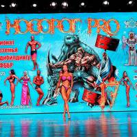 НОСОРОГ ПРО - 17 (Фото №0440)