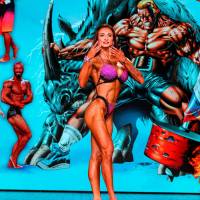 НОСОРОГ ПРО - 17 (Фото №0442)