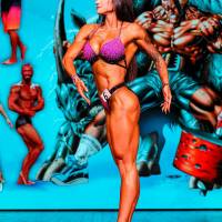 НОСОРОГ ПРО - 17 (Фото №0446)