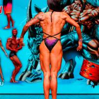 НОСОРОГ ПРО - 17 (Фото №0447)