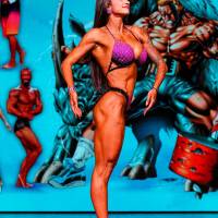 НОСОРОГ ПРО - 17 (Фото №0448)