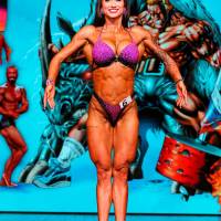 НОСОРОГ ПРО - 17 (Фото №0450)