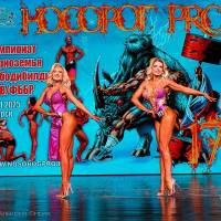 НОСОРОГ ПРО - 17 (Фото №0464)