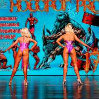 НОСОРОГ ПРО - 17 (Фото №0465)